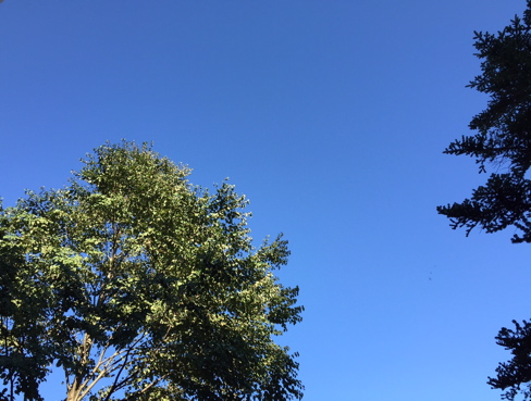 f0222387_20491181.jpg