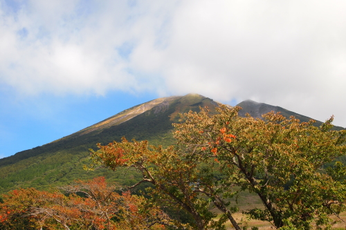 秋の枡水高原　２ (横手道散策）_b0223592_12164173.jpg