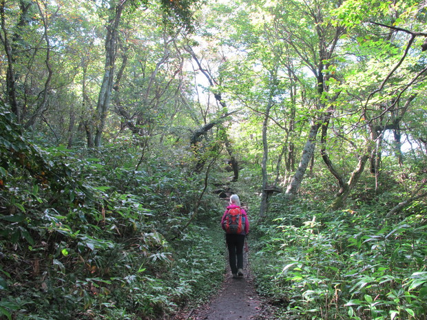 中国山地の二山を登る　①道後山　2015.9.20（日）_a0166196_2141786.jpg