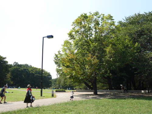c0090198_18383515.jpg