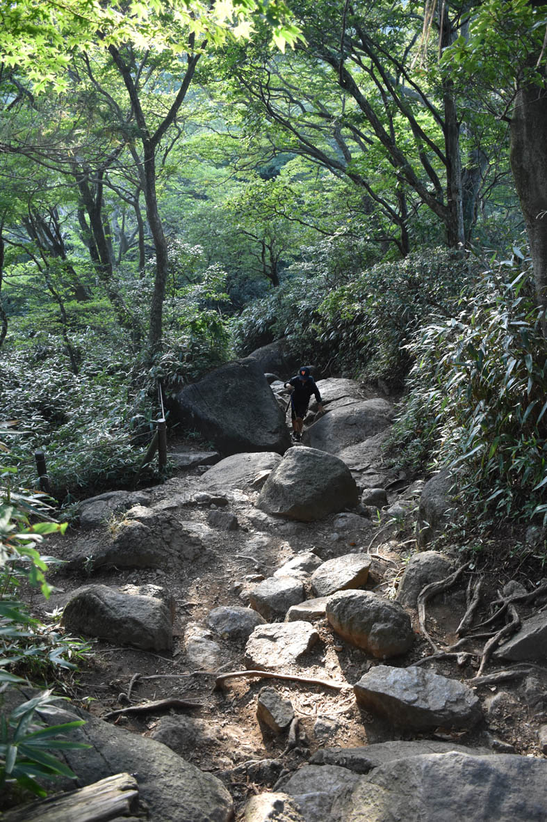 e0064400_23432937.jpg