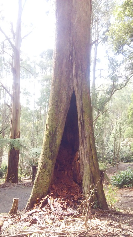 c0212604_17313563.jpg