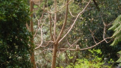 c0212604_17334784.jpg