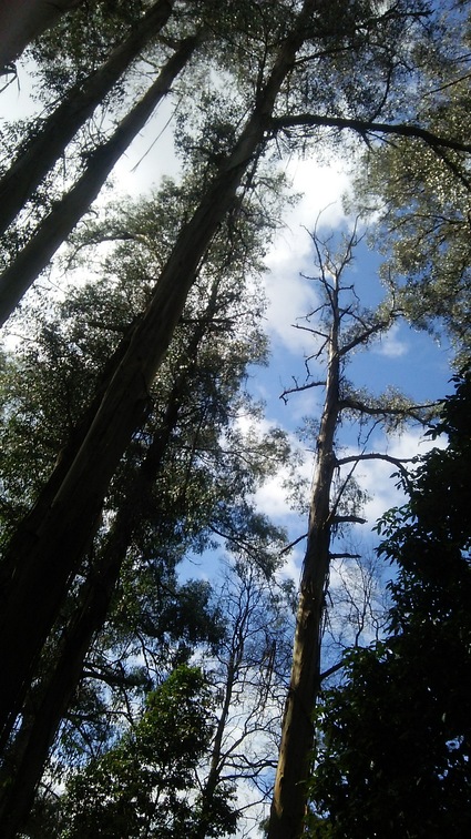 c0212604_17351655.jpg
