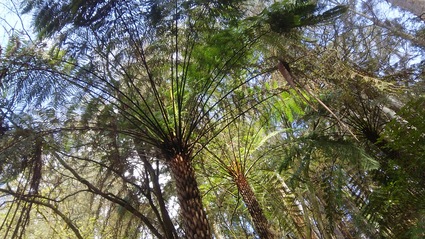 c0212604_17382218.jpg