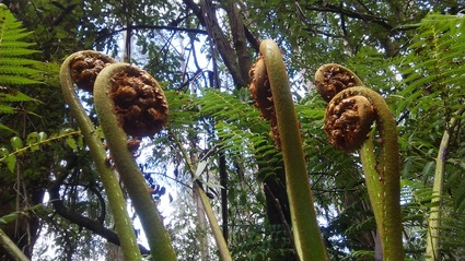 c0212604_17393217.jpg