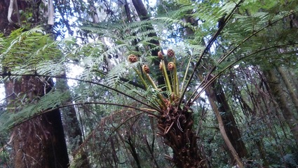 c0212604_17404060.jpg