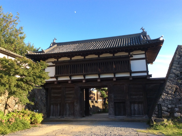 d0149306_1724087.jpg