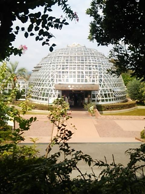 c0152507_18343879.jpg