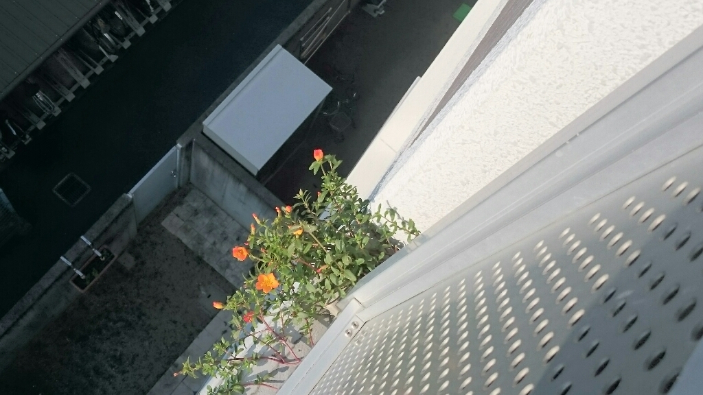e0278508_08525363.jpg