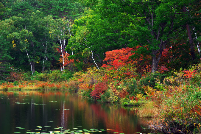 志賀高原　一沼（いちぬま）の紅葉_a0263109_1901225.jpg