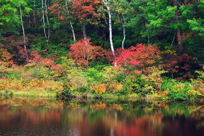 志賀高原　一沼（いちぬま）の紅葉_a0263109_1903323.jpg