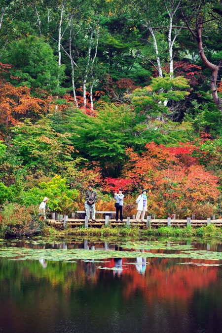 志賀高原　一沼（いちぬま）の紅葉_a0263109_1914988.jpg