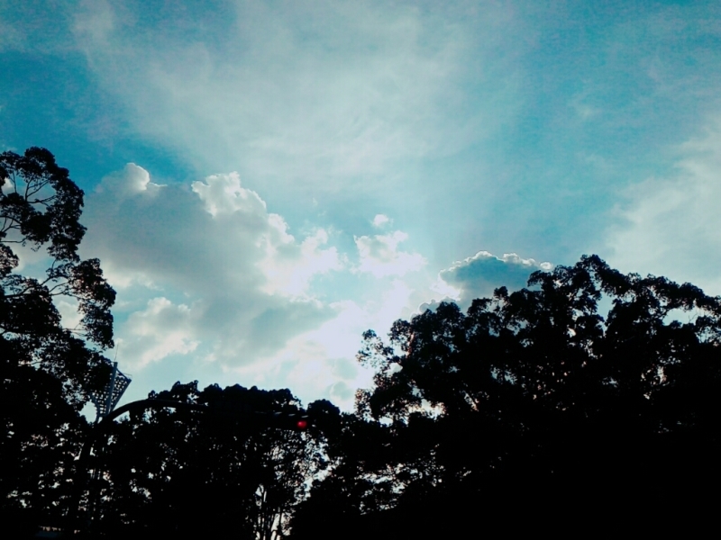 d0021510_23572364.jpg