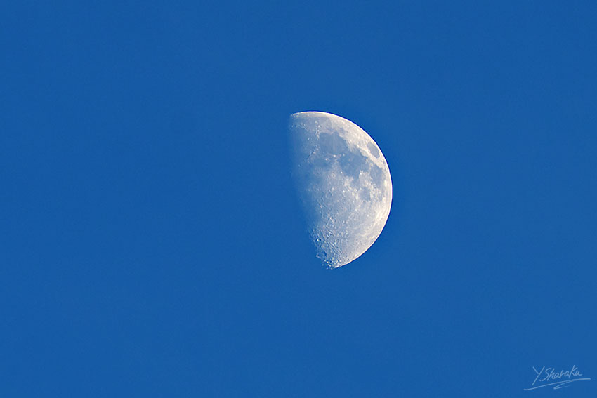 f0344614_1021855.jpg