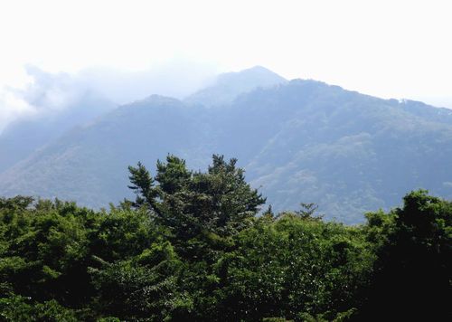 c0073016_16392614.jpg