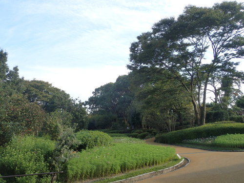 a0315918_22084078.jpg