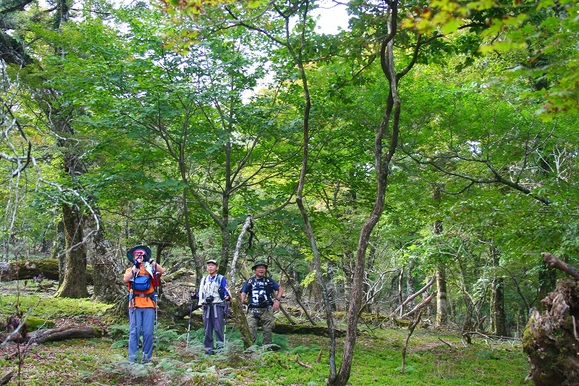 f0193521_1754685.jpg