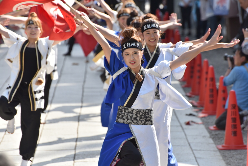 第十一回深川カーニバルよさこい祭り　深川公園広場/富岡八幡宮境内_c0276323_1440241.jpg