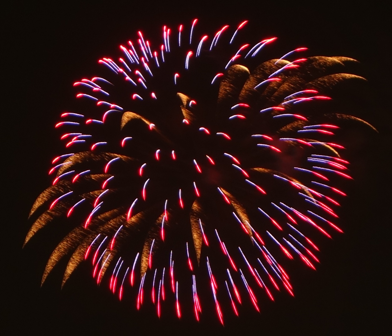 柳瀬川ふれあい祭りの花火（2015/8/22）_c0060927_20291324.jpg