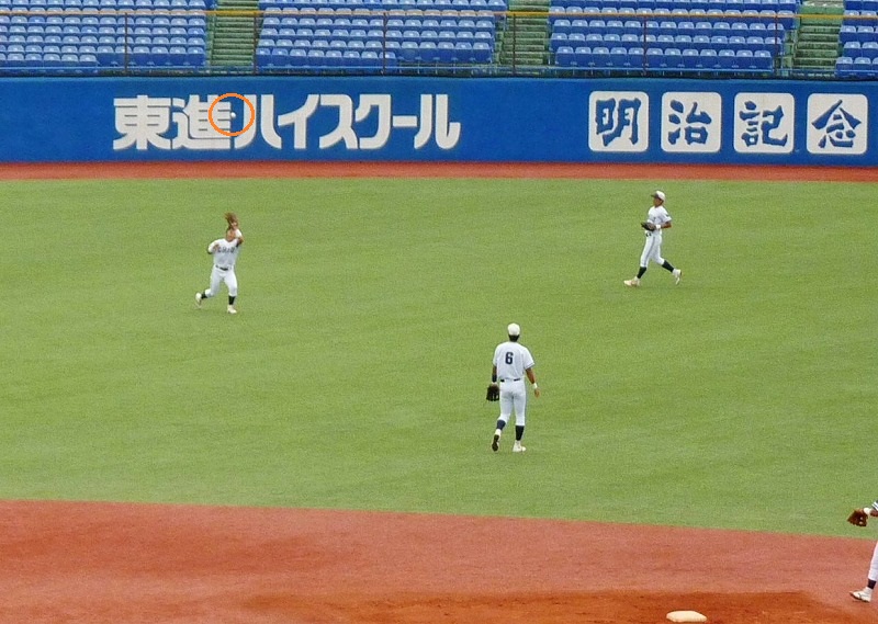 b0166128_1103882.jpg