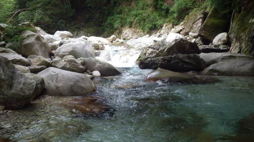 c0029332_10511424.jpg