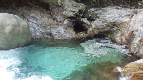 c0029332_10515512.jpg
