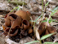 f0108133_2321230.jpg