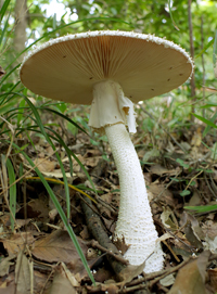 f0108133_232634.jpg