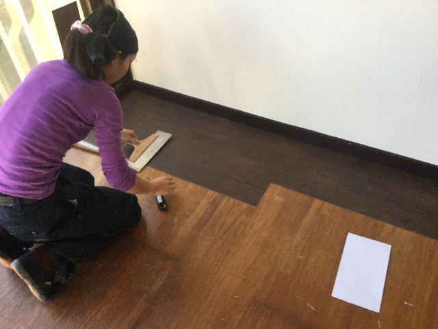 9.5日目の作業_f0031037_20141231.jpg