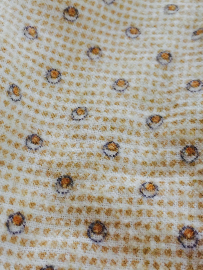 c0177238_15164721.jpg
