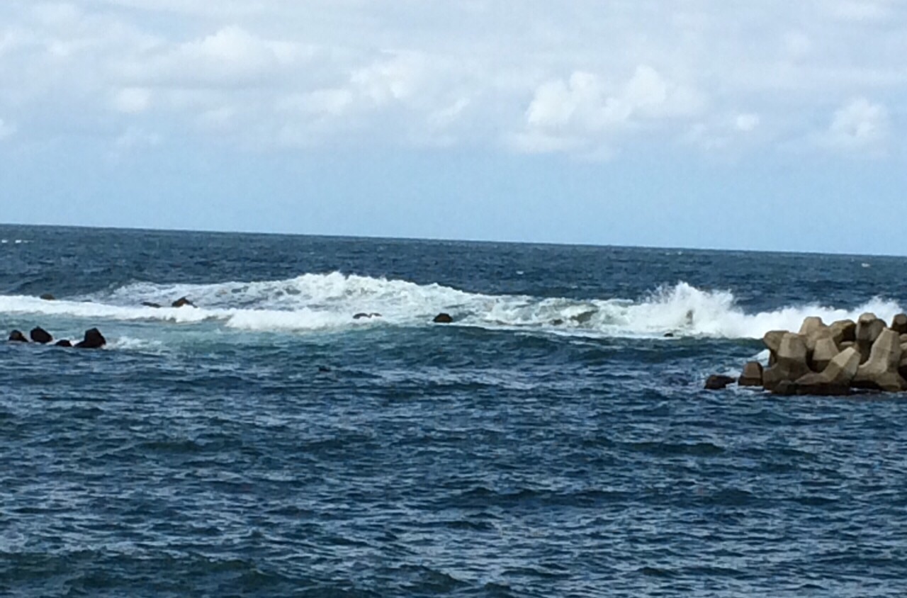 シマノセフィアエギングパーティー北陸大会 徒然 日記