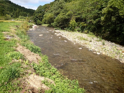 f0280739_22233349.jpg