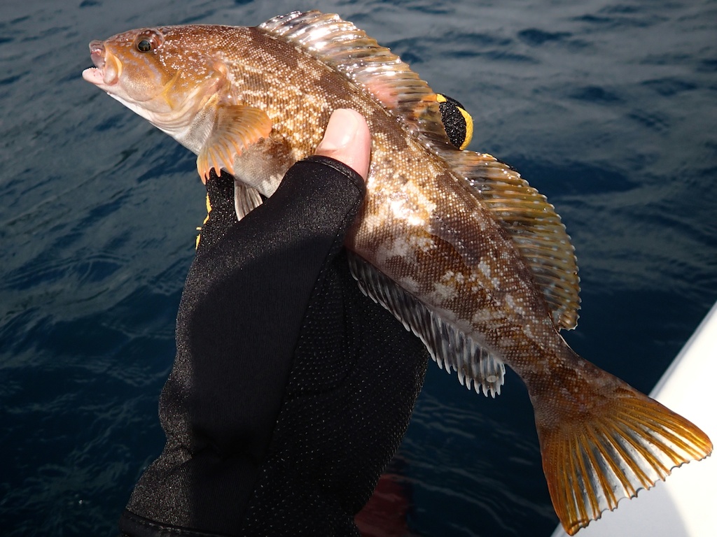 f0280739_22351379.jpg