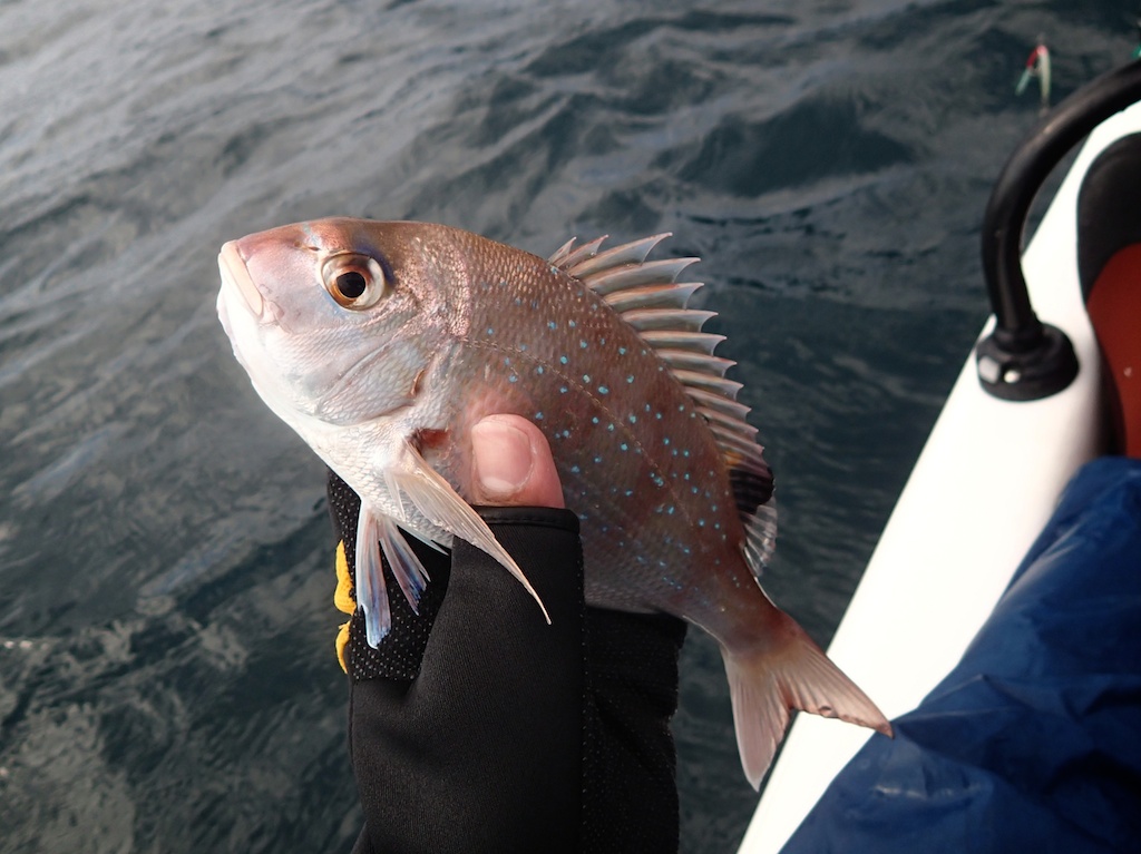 f0280739_22362191.jpg