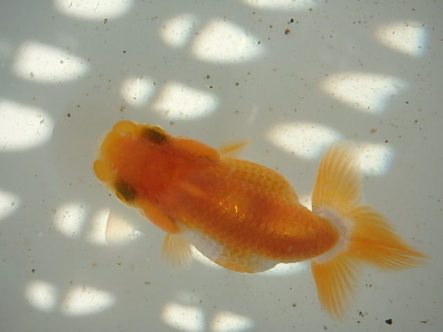 f0334143_748970.jpg