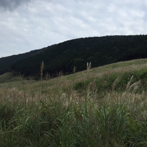 c0015644_19314009.jpg