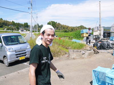 熊本イチゴ『さがほのか』 苗床から栽培ハウスへ定植!その2_a0254656_1919851.jpg