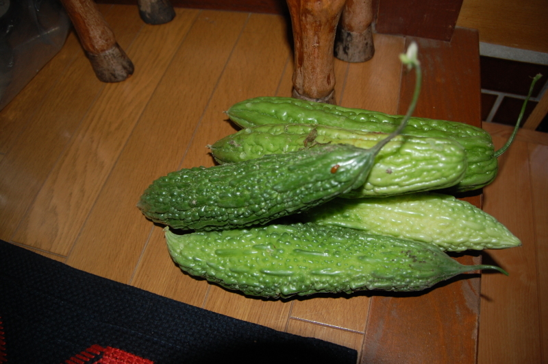 c0108460_20444480.jpg