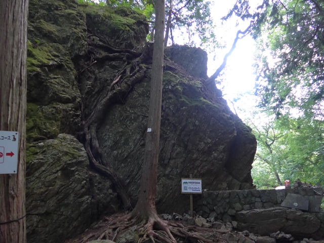 御岳山に登って、筋肉が死亡した話 ~後編~_f0232060_14455019.jpg