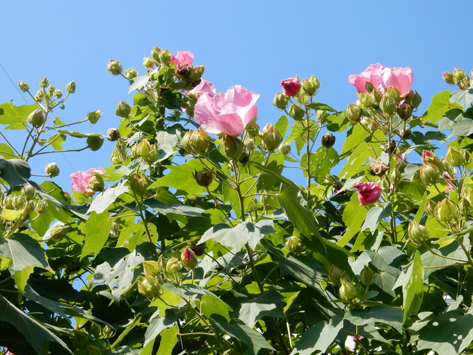 ’15,9,23(水)歩き方の3原則!_f0060461_14293599.jpg