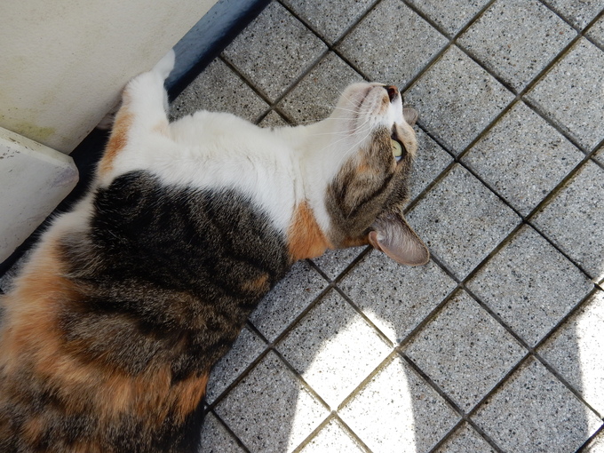 ’15,9,23(水)歩き方の3原則!_f0060461_14374383.jpg