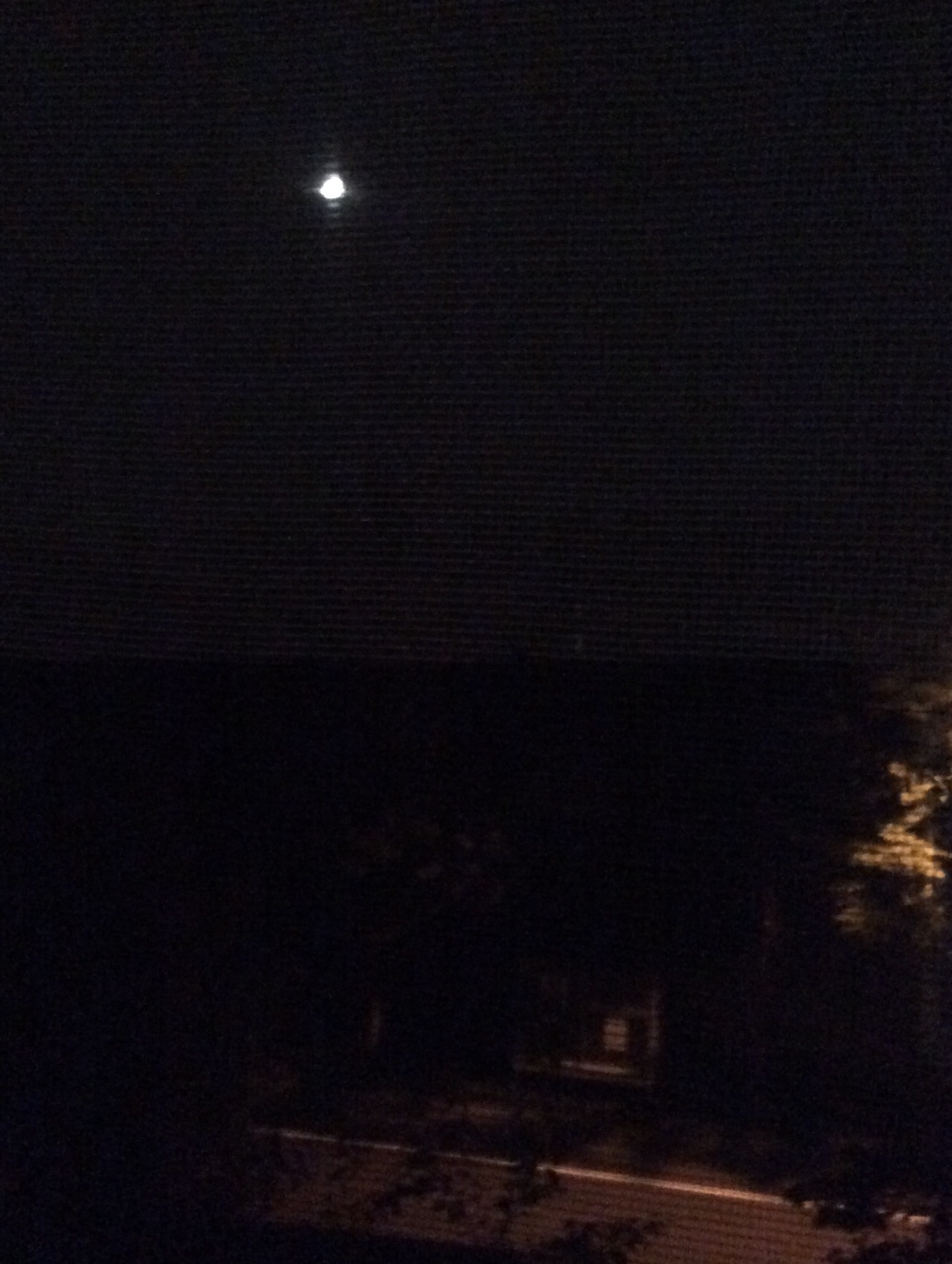 d0320463_22323409.jpeg