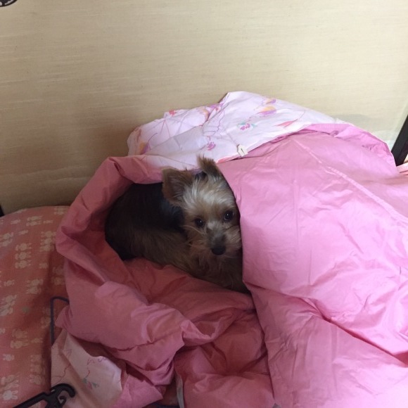 a0232368_20422219.jpeg