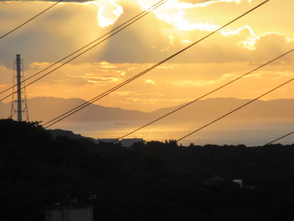 f0053885_2037537.jpg