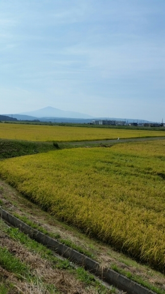 d0226286_13190179.jpg