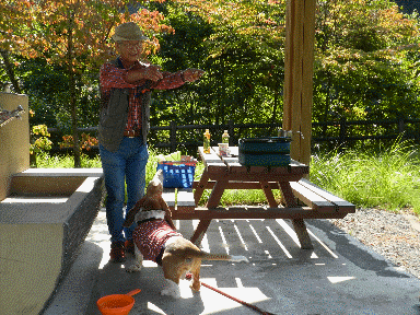f0205887_19112034.gif