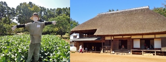 f0310988_21121808.jpg