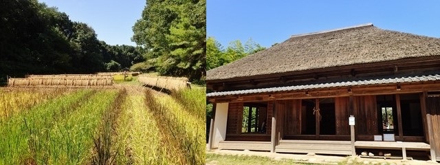 f0310988_21190554.jpg