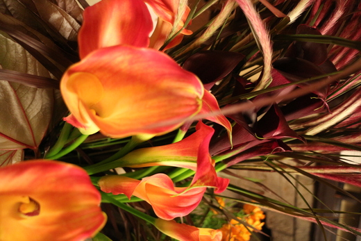 c0128489_2195945.jpg